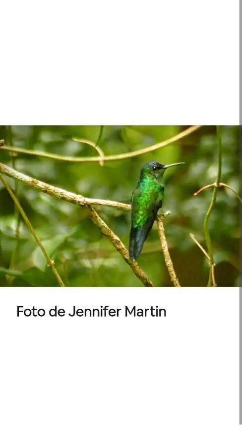プエルト・イグアスJardin De Naipiアパートメント エクステリア 写真